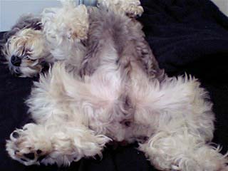080730_1050~0001.jpg
